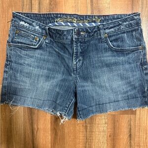 American Eagle Outfitters Distressed Dark Blue Jean Shorts